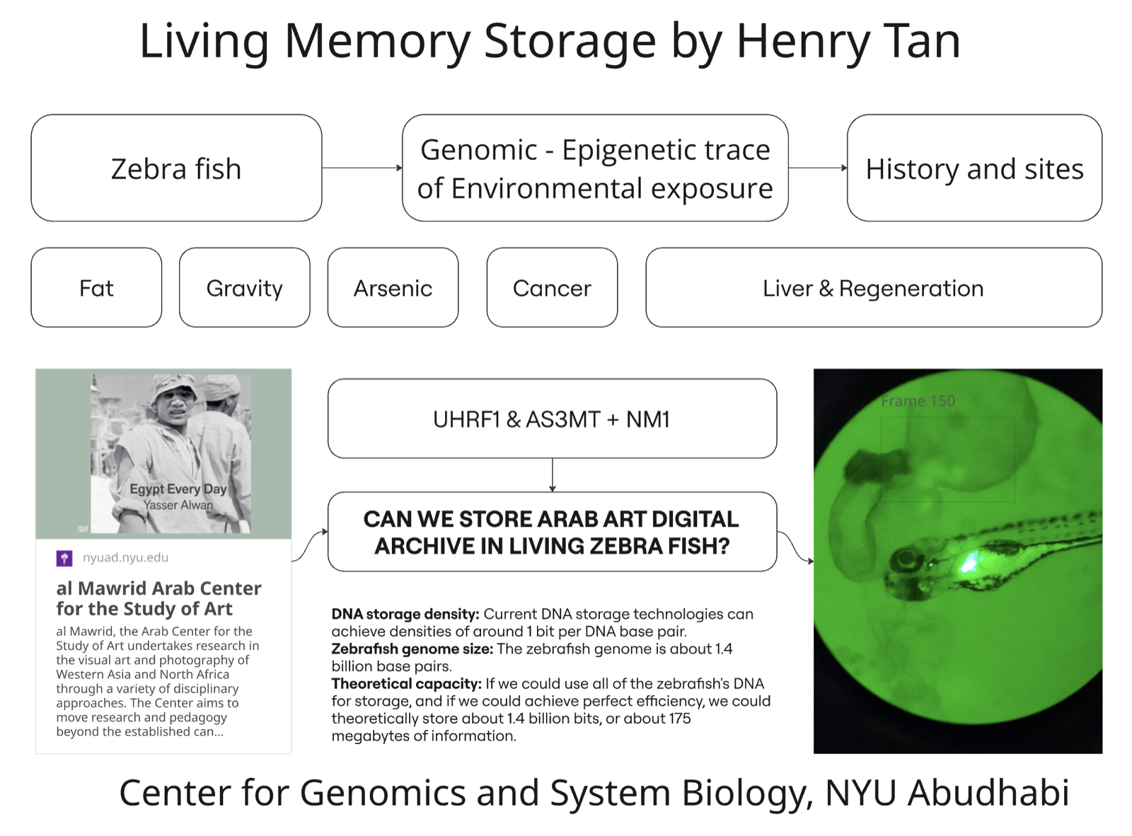 Living Archive